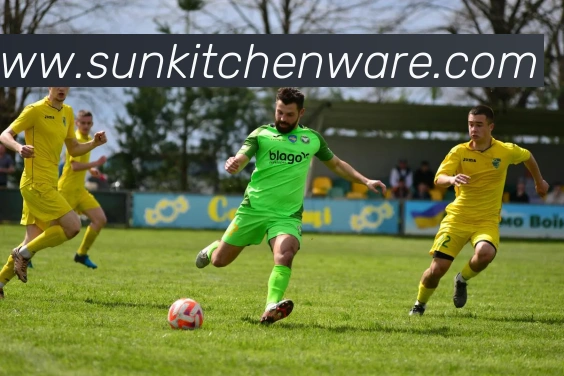 三亿体育官网登录发展历程